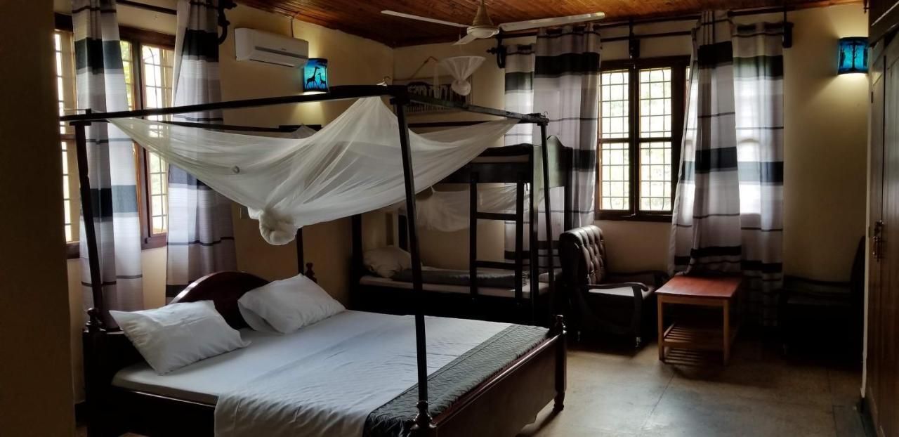 Aivlys Lodge Kilimanjaro Msaranga Kültér fotó